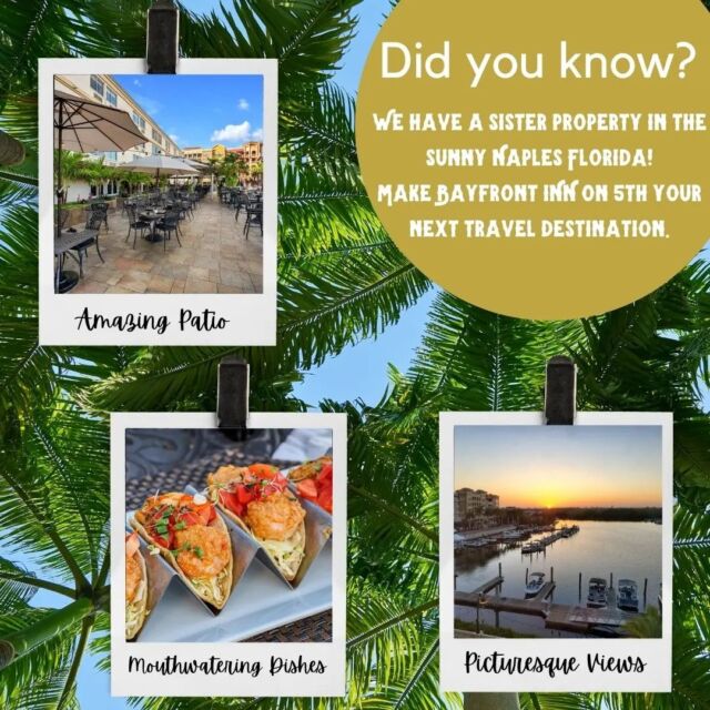 We're excited to introduce our sister property Bayfront Inn on 5th located in Naples, Florida!  If your suffering from those winter blues, escape to that beautiful Florida weather!  Make your reservation at bayfrontinnnaples.com.  #hospitality #naplesflorida #bayfrontinnonfifth