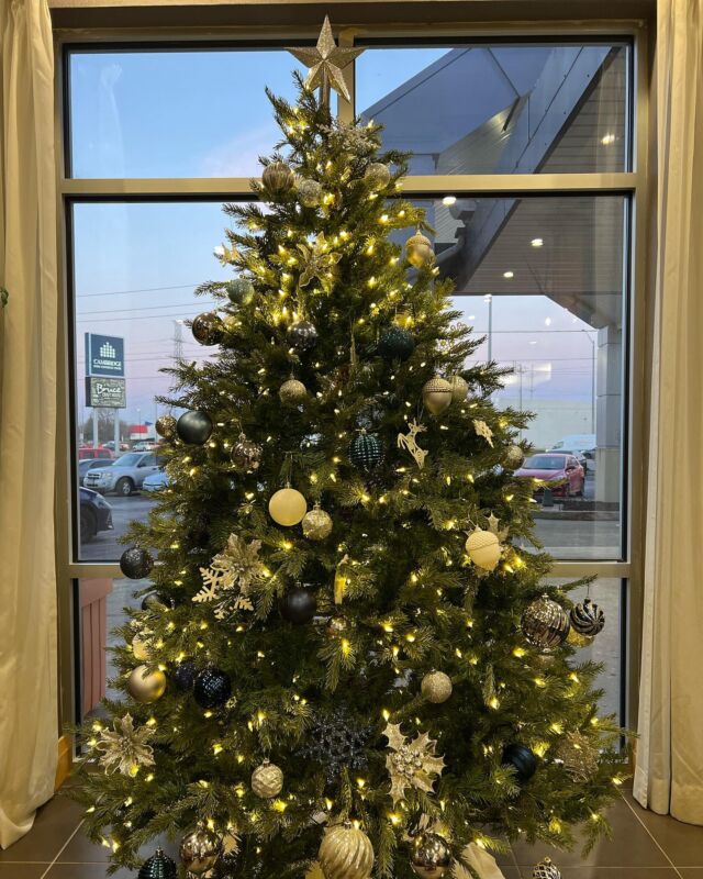 Due to the weather conditions @thebrucecambridge will be closing at 4pm today!  We wish everyone a Happy Holidays! Stay safe!🎄🤍