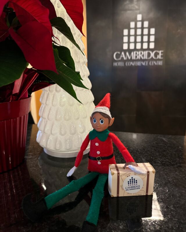 Our festive guest has arrived! 🧳🎄💫 Meet Mel, the Elf on the Shelf, checking in for a holiday stay at the Cambridge Hotel and Conference Centre.  Who’s ready to see what he gets up to this season?  #elfontheshelf #holidayfun #holidayseason #cambridgehotel #holidays #elfontheshelfadventures #elfontheshelfshenanigans