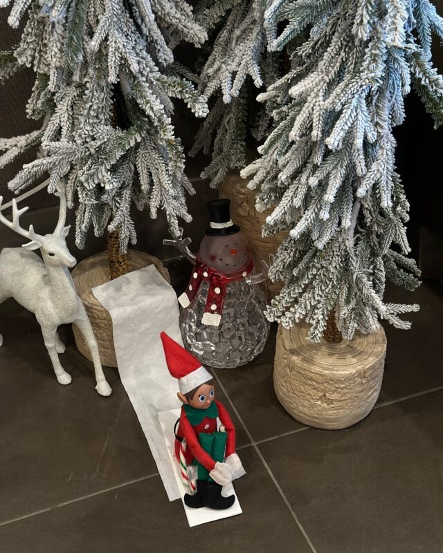 Our little elf is riding into the holiday season with candy cane speed! 🛷🎄💫  Stay tuned for more festive fun as our Elf on the Shelf spreads cheer all around the Cambridge Hotel!  #elfontheshelf #holidaymagic #cambridgehotel #elffun #holidayseason #sleighallday