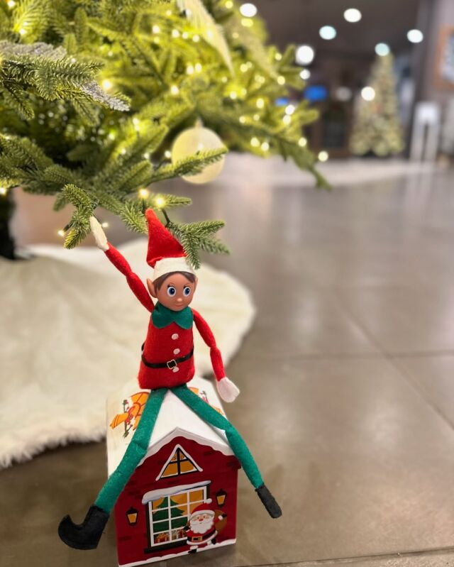 Our elves are hard at work, preparing for an stress-free Christmas! 🎁✨  Why cook when you can enjoy a perfectly roasted 12lb Ontario Pastured Turkey, infused with thyme butter, and paired with turkey jus & port-spiced cranberry sauce? 🍗💫 Choose from 4 mouthwatering sides to complete your festive meal.  Feeds 6-8 people for just $279 — the ultimate hassle-free Christmas dinner! 🎉  📅 Order by Dec 19th at noon for pickup Dec 23rd or 24th (11am-3pm). Or by Dec 23rd at noon for Christmas Day pickup (11am-3pm)!  Call 519-622-5252 to place your order today and make your Christmas feast one to remember! 🎉🎄 #ChristmasDinner #TurkeyToGo #HolidayFeast #BruceCraftHouse #CambridgeHotel